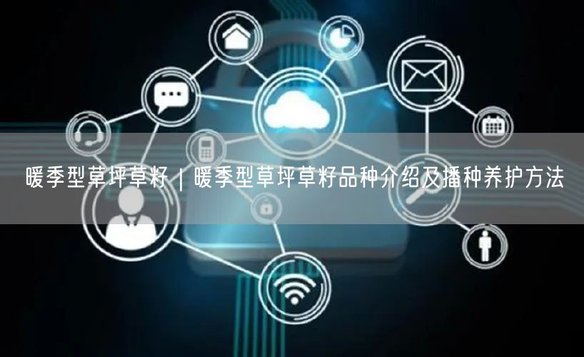暖季型草坪草籽｜暖季型草坪草籽品种介绍及播种养护方法