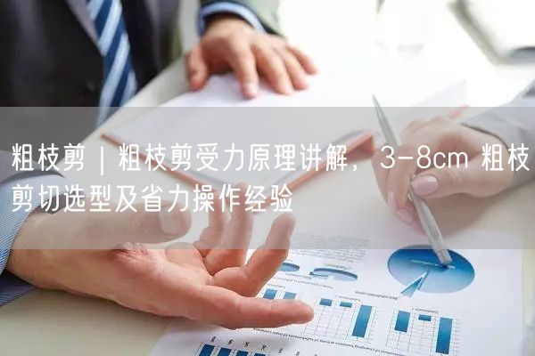 粗枝剪｜粗枝剪受力原理讲解，3-8cm 粗枝剪切选型及省力操作经验